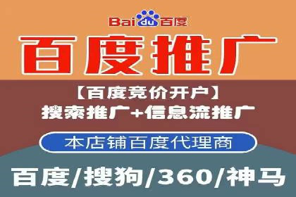 案例分析：高效信息流广告投放策略